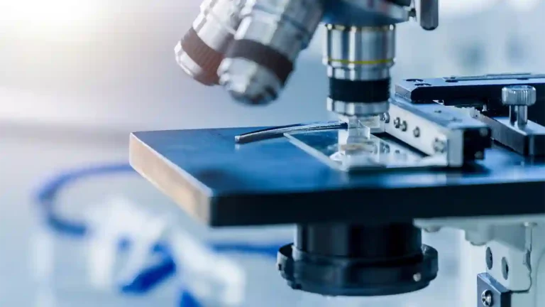 Weberg Law Microscope Hidden Assets