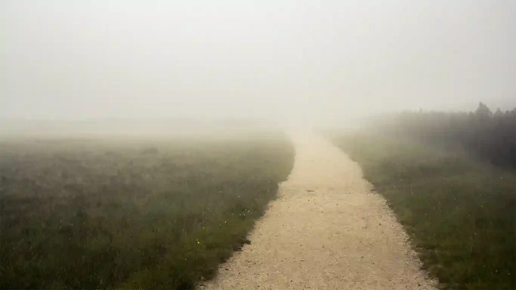 Weberg Law Uncontested Divorce Path in Fog
